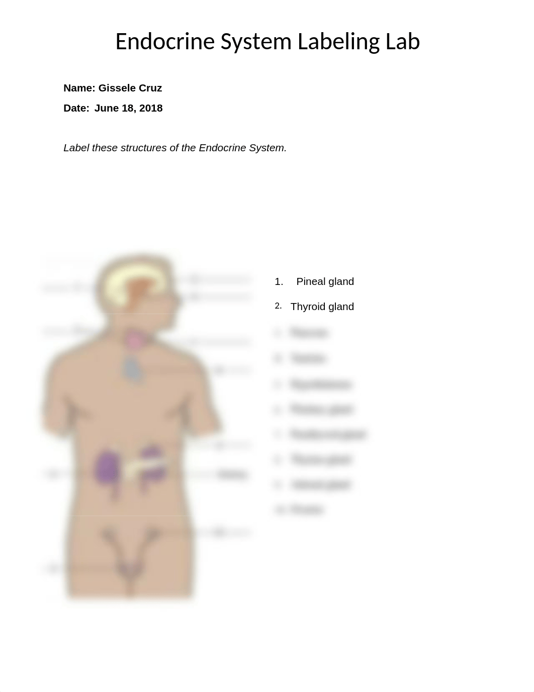 Endocrine System Labeling [G.Cruz].Cruz.docx_dzu470kvtaq_page1