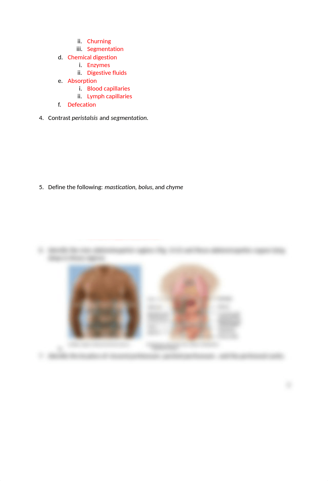 Anatomy Ch. 23- Digestive.docx_dzu63tbaszx_page2