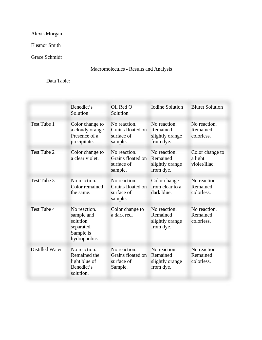 Macromolecule Lab Analysis.docx_dzulgy3j1nh_page1