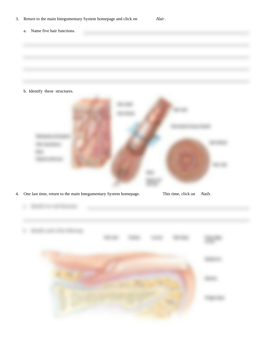 sys_int   chpt 5 A&P_dzuv6ggg37j_page2