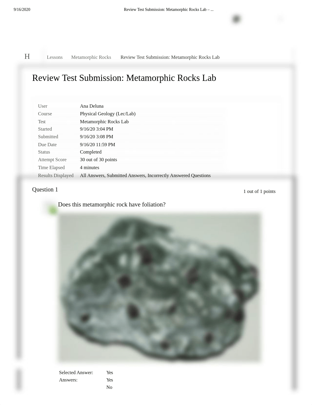 Metamorphic Rocks Lab.pdf_dzv2gfqt4wm_page1