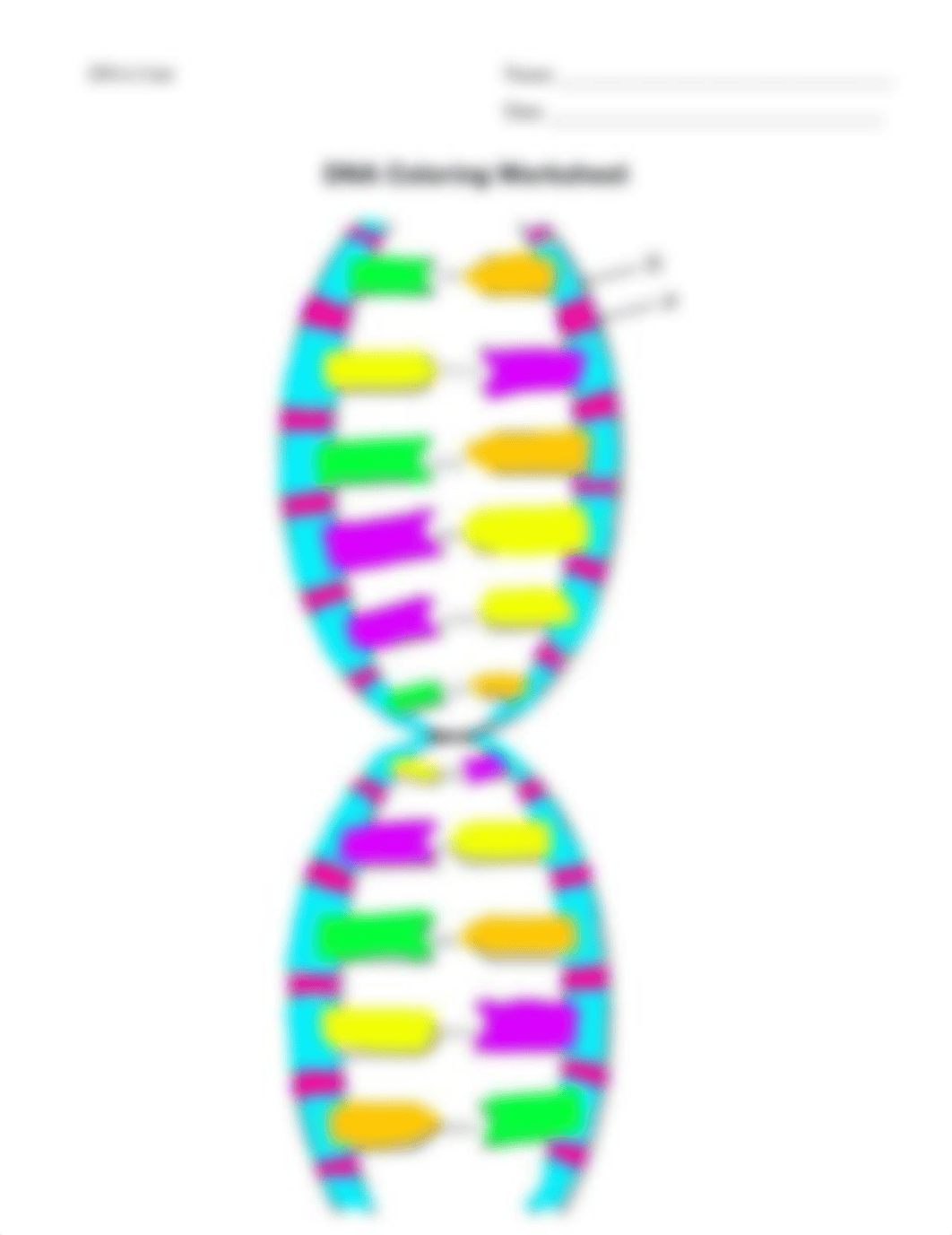 Ireland Sizemore - DNA Coloring Worksheet (1).pdf_dzv5mi48ga1_page2