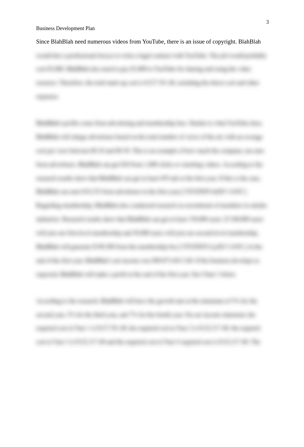 Business development plan.docx_dzv6fbmn876_page3