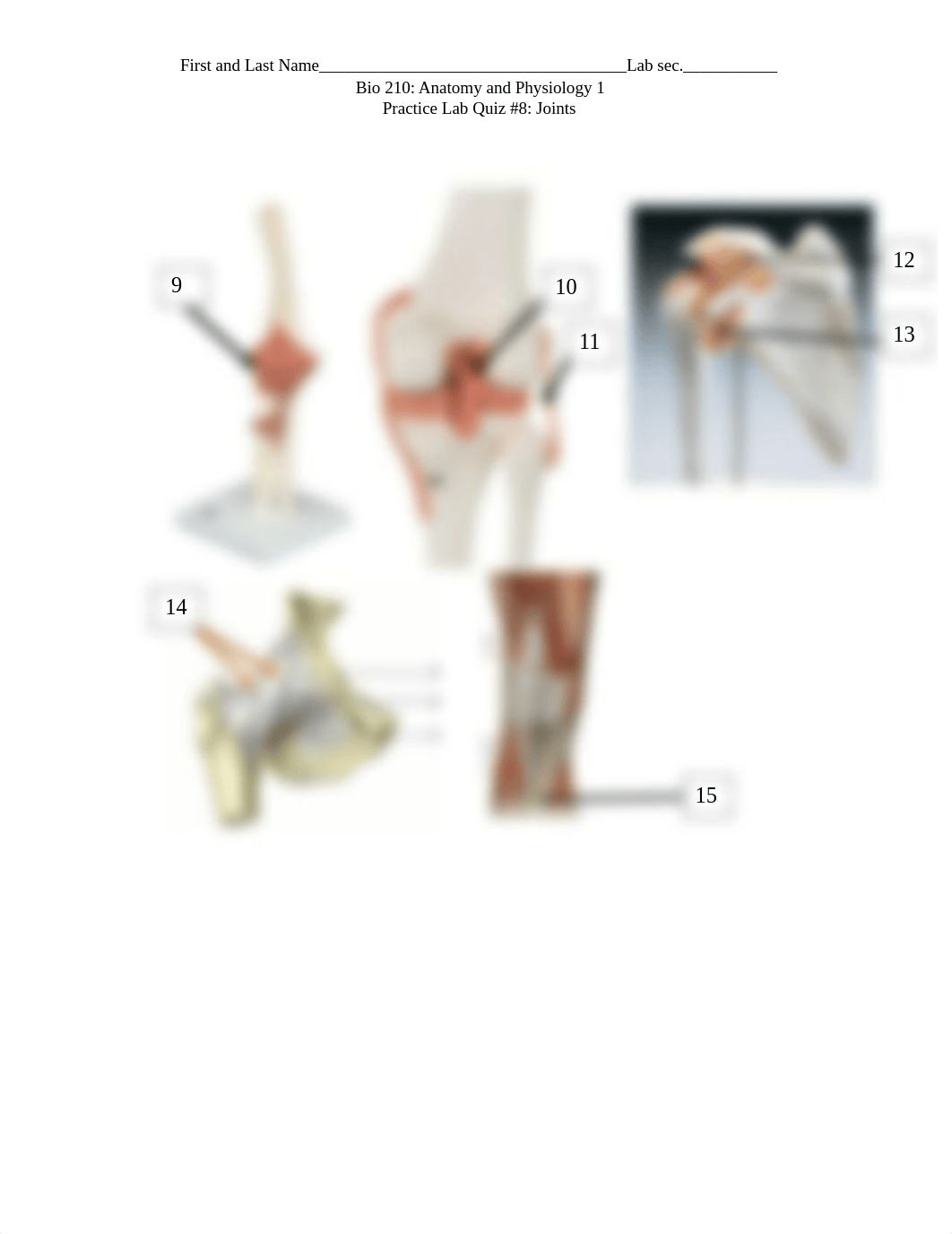 AP1 Practice Lab Quiz 8 Joints vf.docx_dzv75u8fhbq_page2