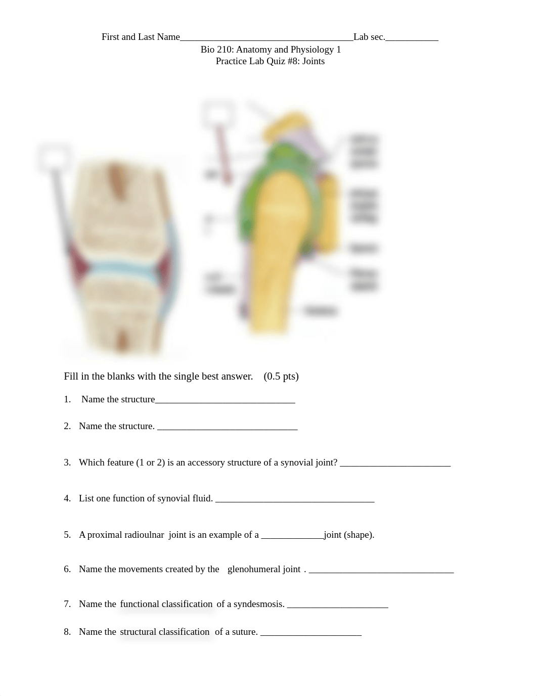 AP1 Practice Lab Quiz 8 Joints vf.docx_dzv75u8fhbq_page1