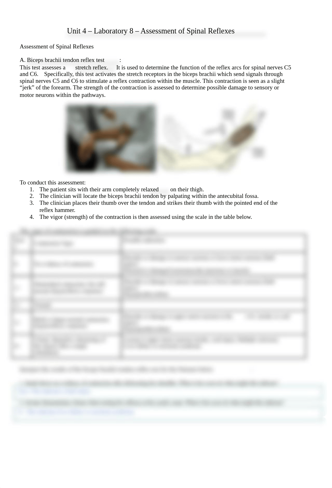 lab 8.docx_dzvgw0liy6z_page1