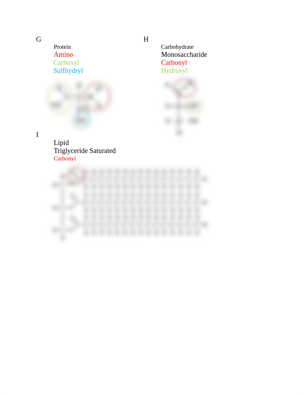 Chapter 3 Worksheet(1).docx_dzvl4hgd445_page3