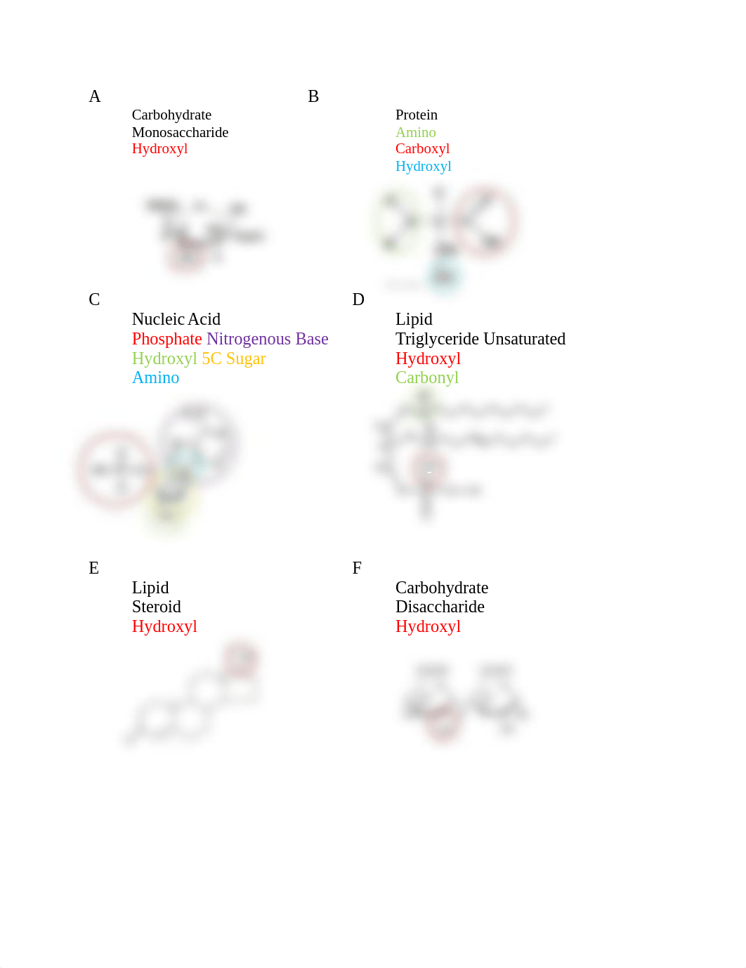 Chapter 3 Worksheet(1).docx_dzvl4hgd445_page2