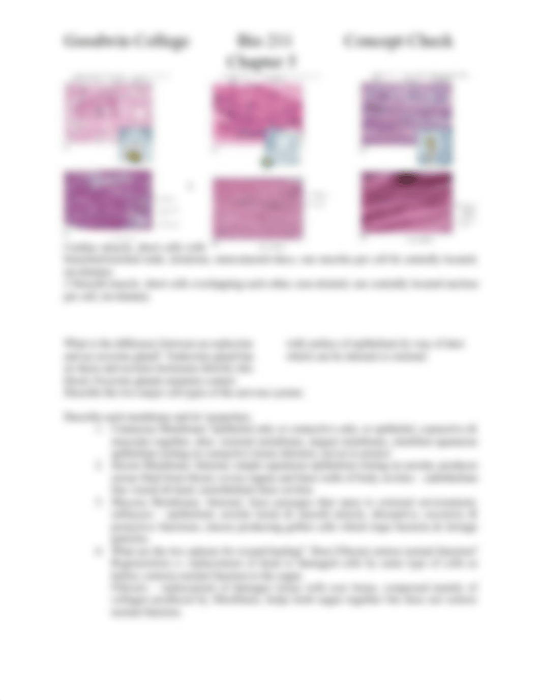 Chapter_5_Concept_Check_BIO211_2_.docx.docx_dzvzzzs1adv_page2