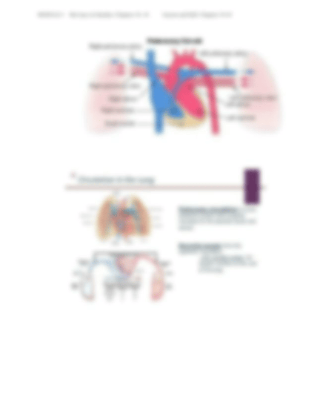 Pulmonary_dzw4qccgcao_page3