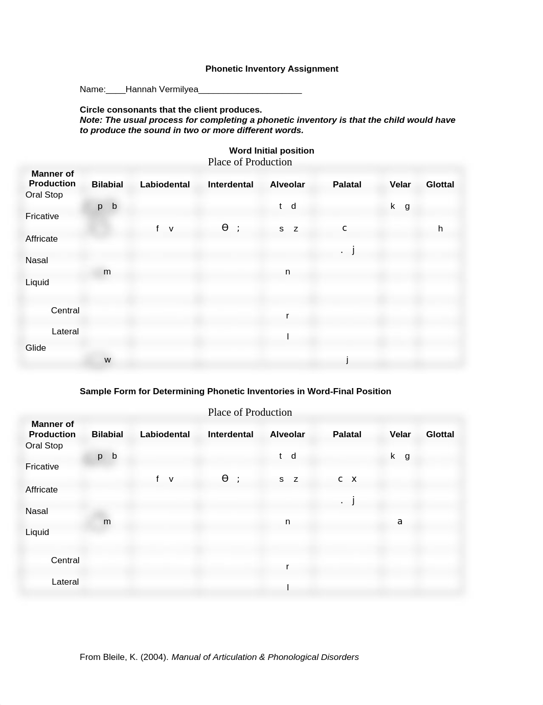 Phonetic_Inventory_for_314 HV.doc_dzw8iw9pjbf_page1