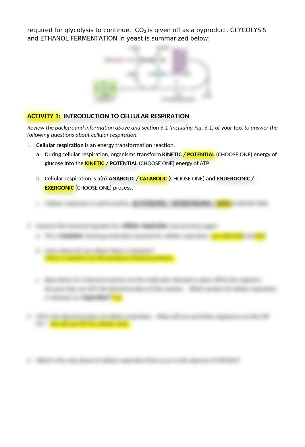 BIOL 1041_CELLULAR RESPIRATION.docx_dzw8voe5zsc_page2