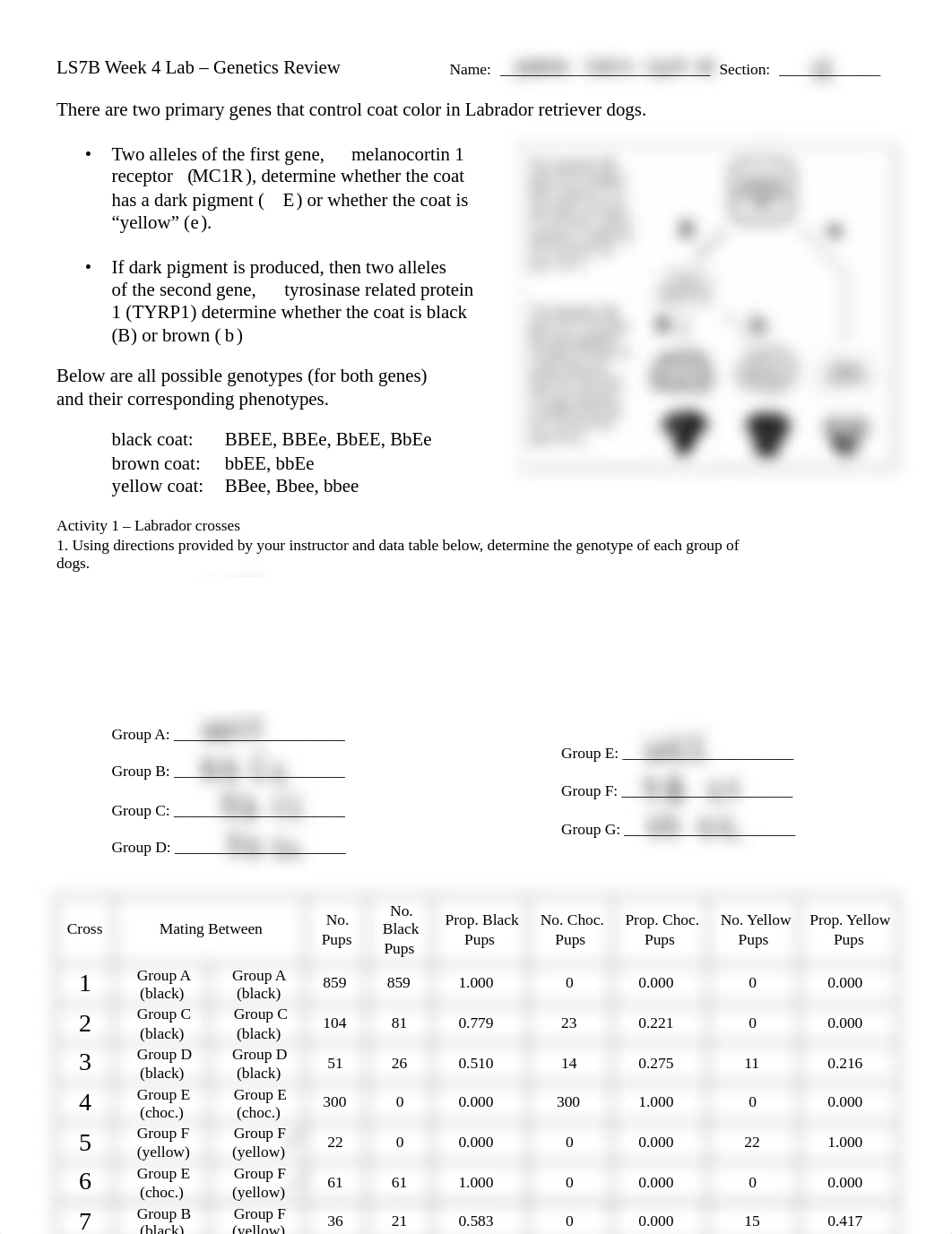 Week 4 Lab Phan Vu.pdf_dzwdf4mjq12_page1