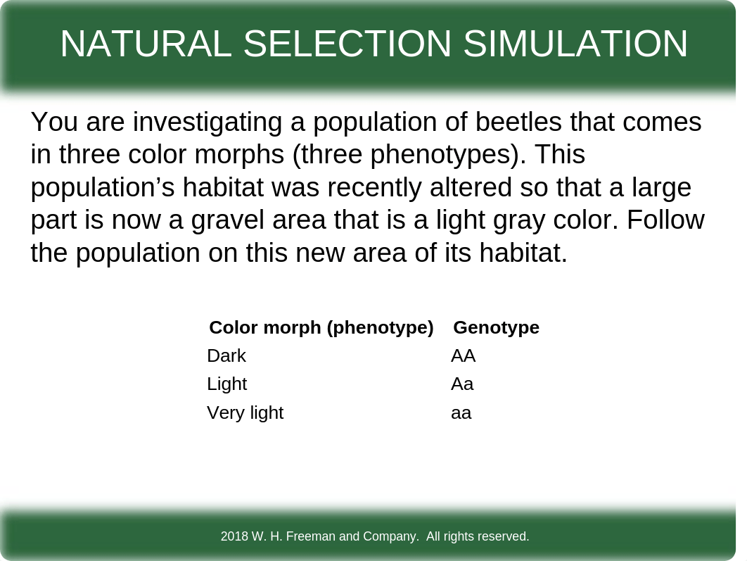 Ch 3 Activity Beetle color evolution exercise.pptx_dzweh1vkq9m_page1