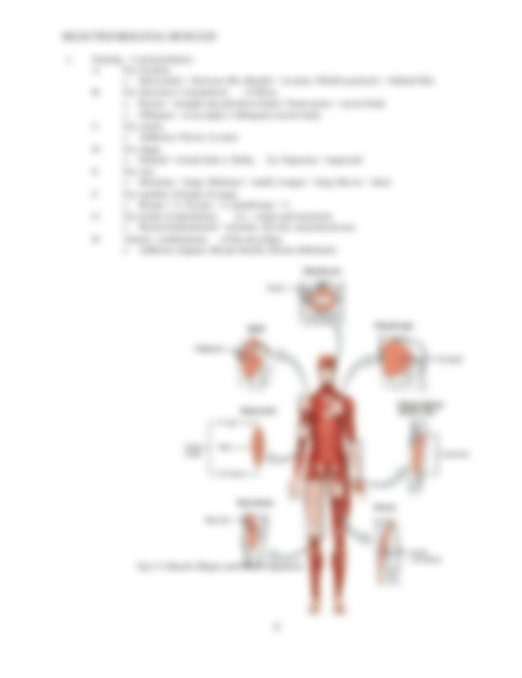 BIOP 201Lab 5B.docx_dzwu1trvcrm_page2