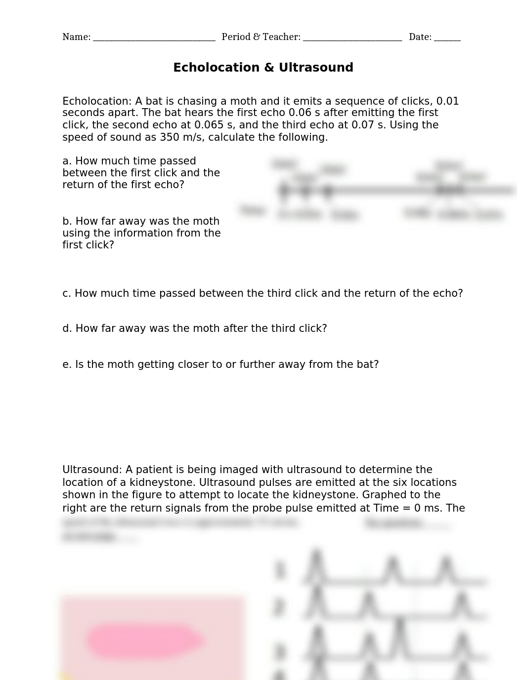 Echolocation Worksheet.docx_dzwxyjyjn4y_page1