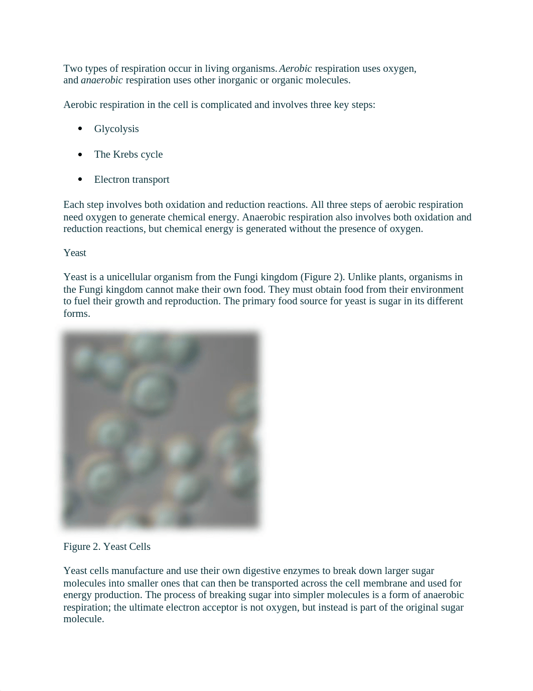 Late Nite Labs respiration.docx_dzwzvb7oq3u_page2