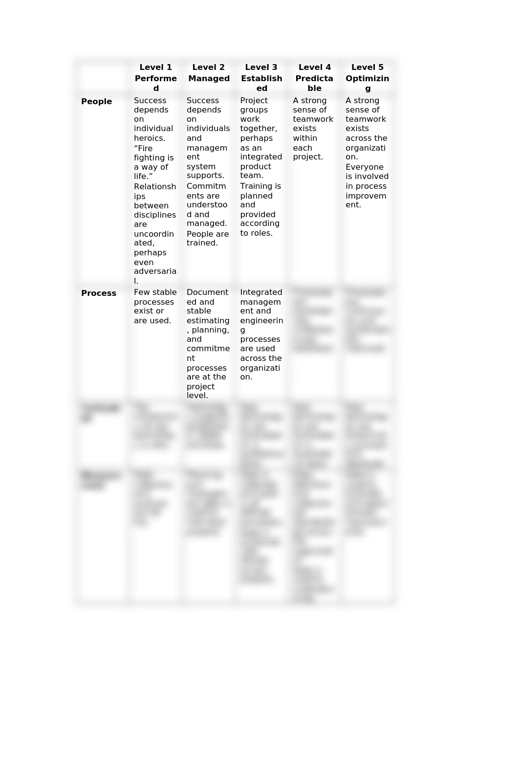 Organizational Maturity Levels.doc_dzx2msseo6d_page2