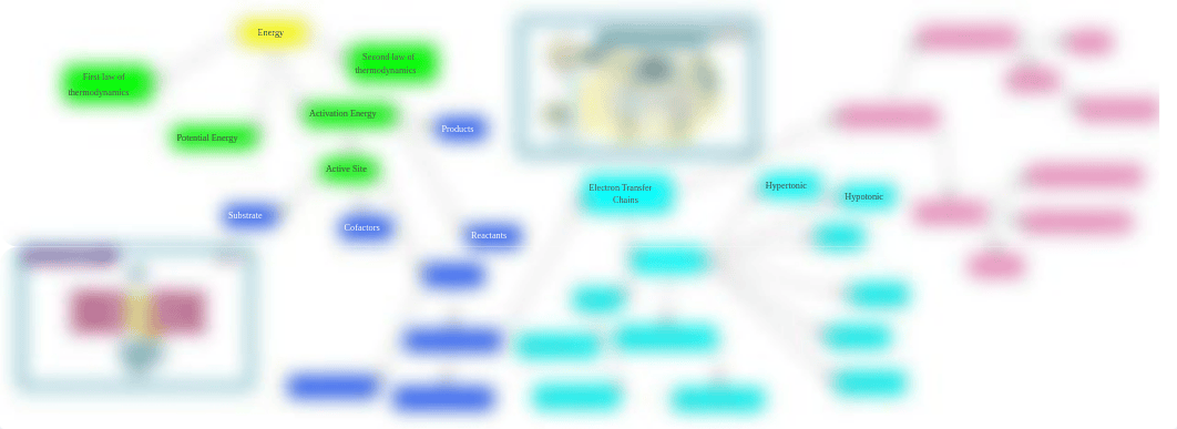 Concept map - Module 4.pdf_dzx413989s8_page1