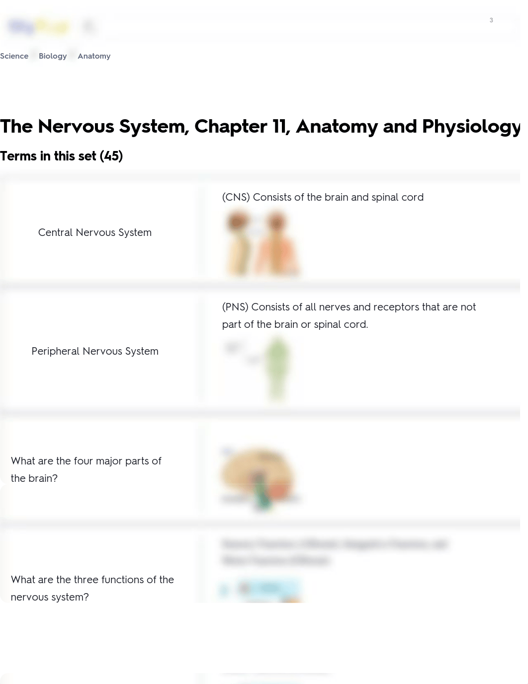 The Nervous System, Chapter 11, Anatomy and Physiology Flashcards.pdf_dzx9en189fx_page1