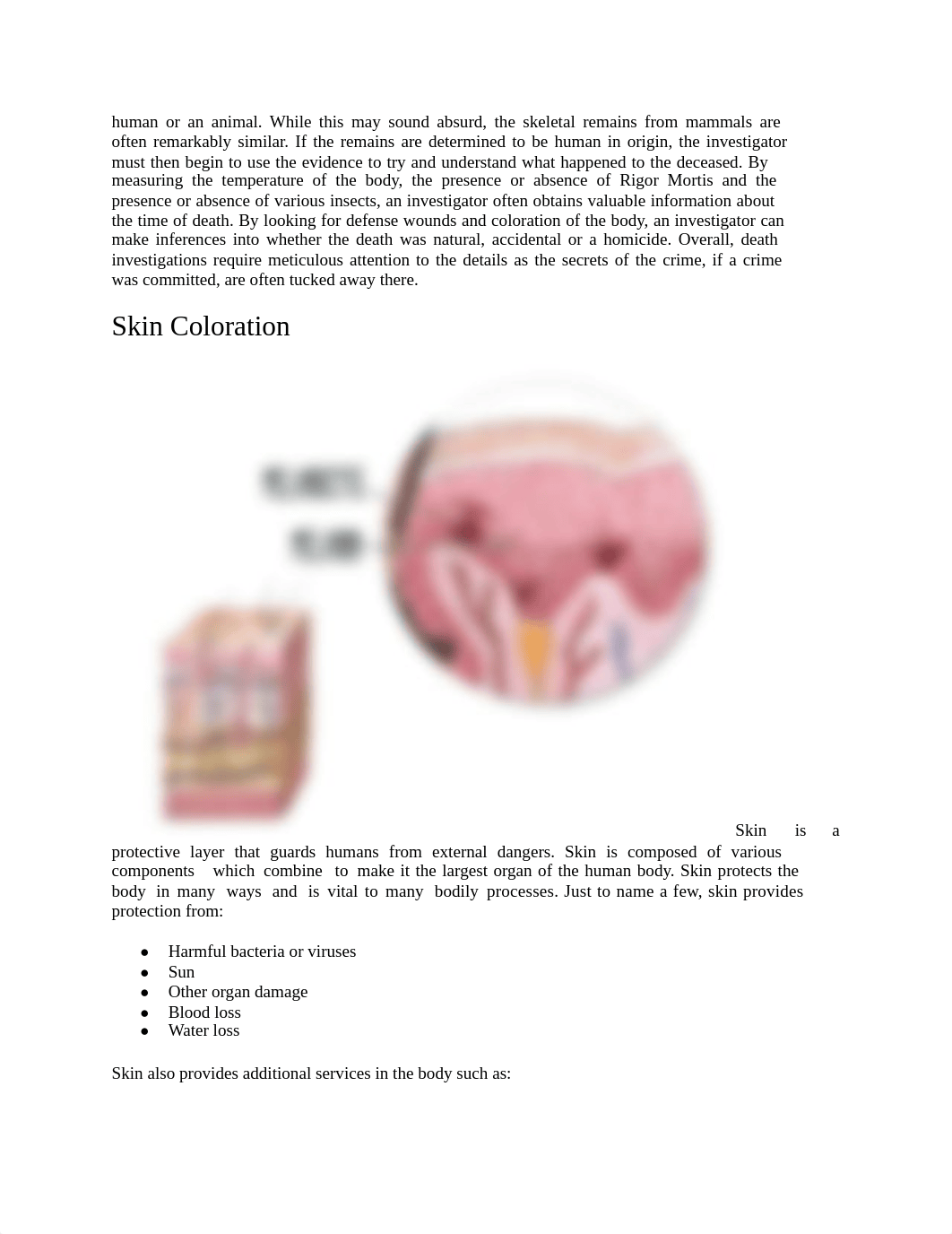 2-Intro-HumanRemains-Identification (1) (1).pdf_dzxh6jlrzns_page2