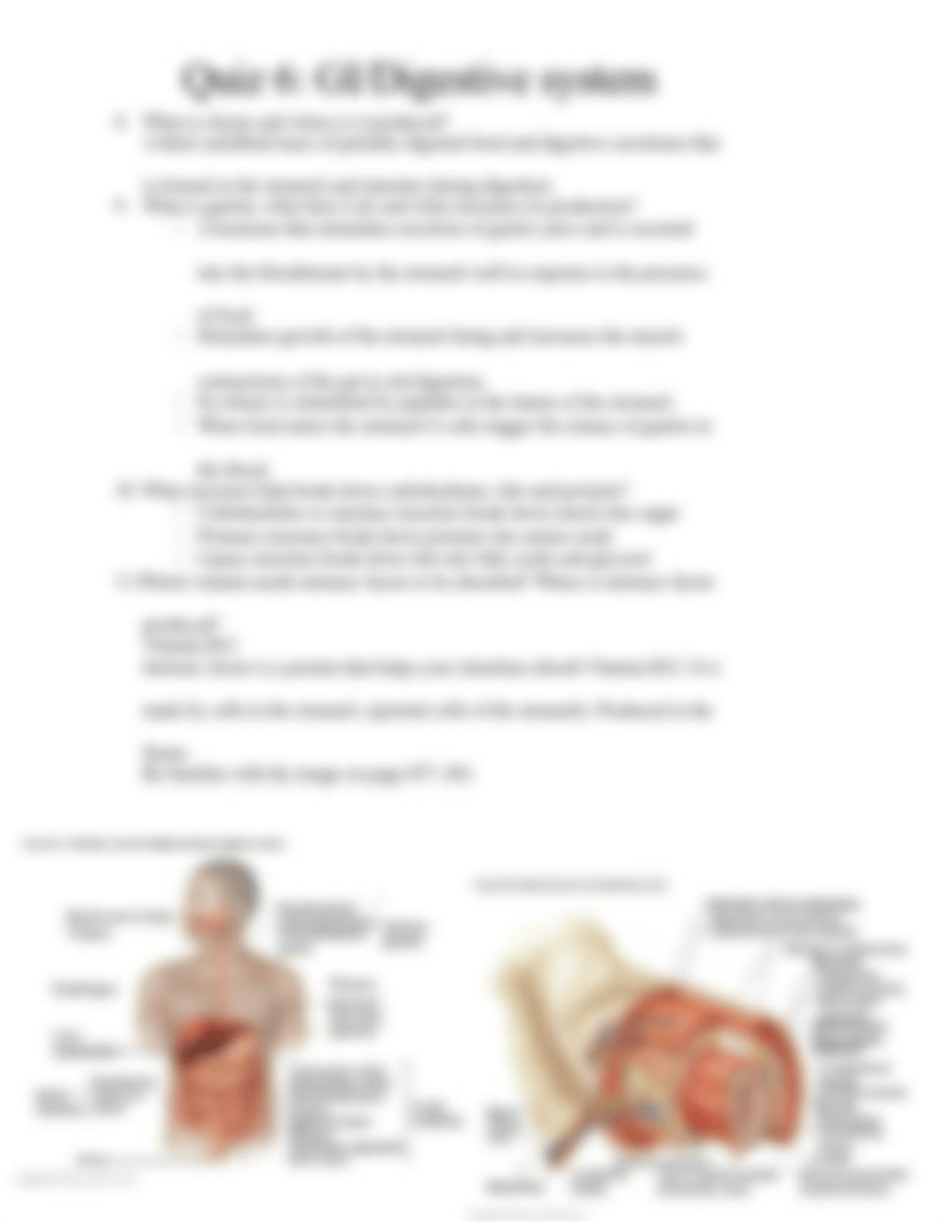 Quiz 6 GI_Digestive.docx_dzxnaulhukx_page2