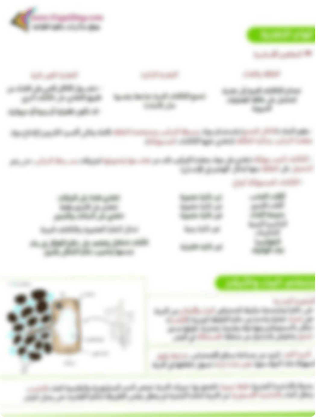 مراجعة احياء للصف الثاني الثانوي الترم الأول.pdf_dzxnrye6asn_page1