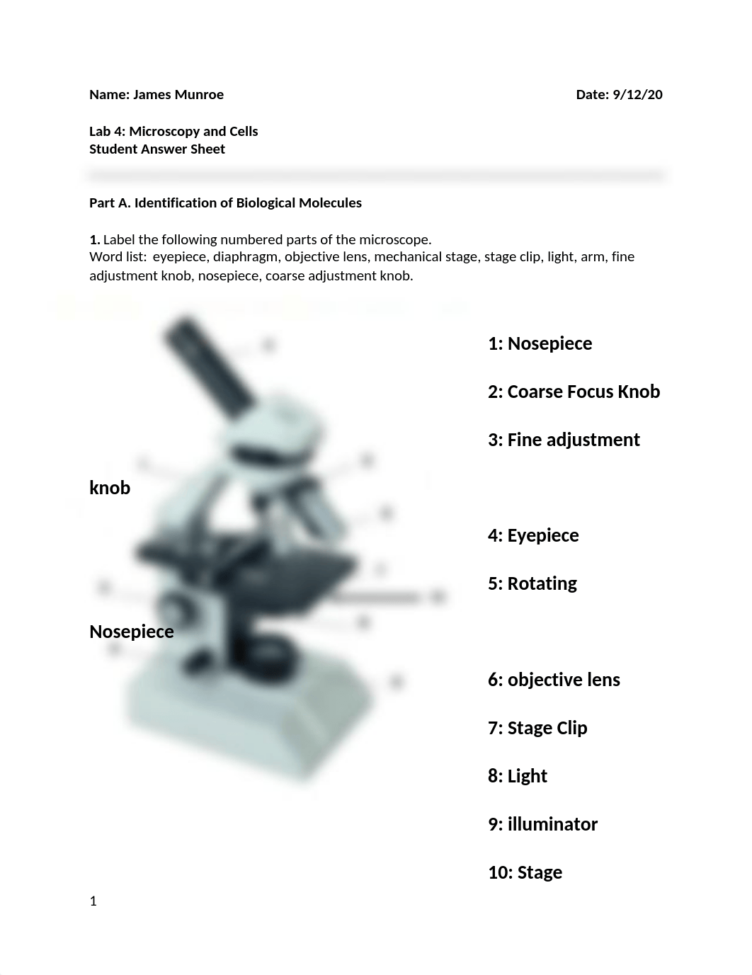 Microscopy lab.docx_dzxoqexoded_page1