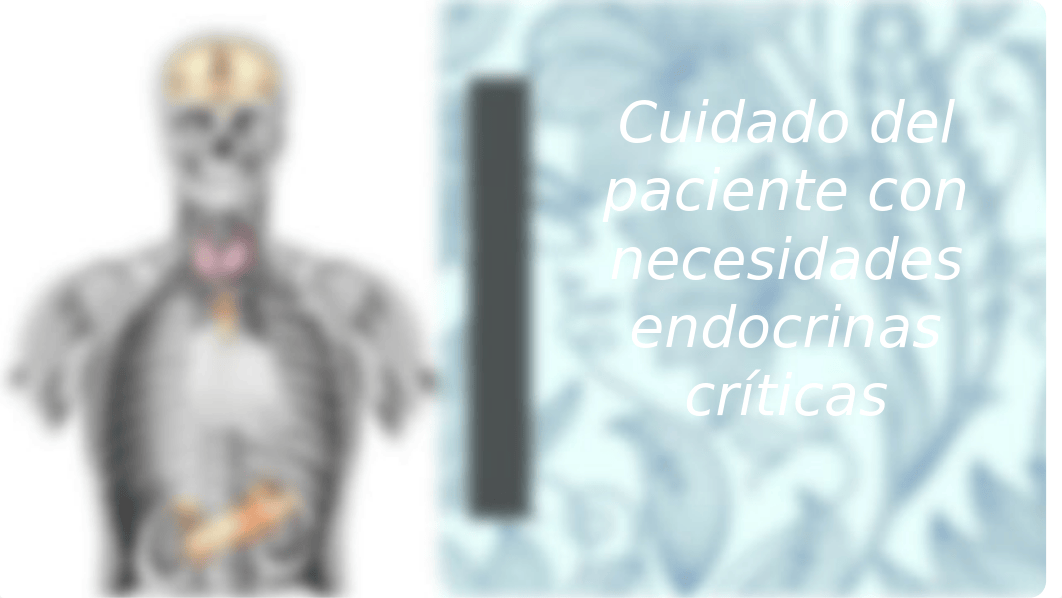 presentacion sistema endocrino  (1).pptx_dzxozt2ai42_page1