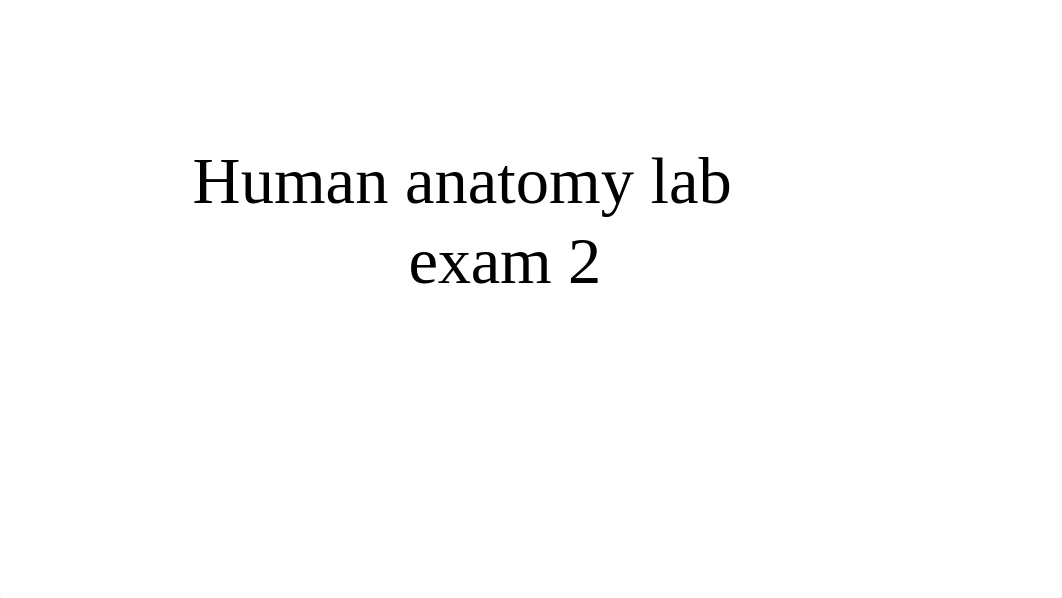 human anatomy lab test 2.pptx_dzxsohpboa3_page1