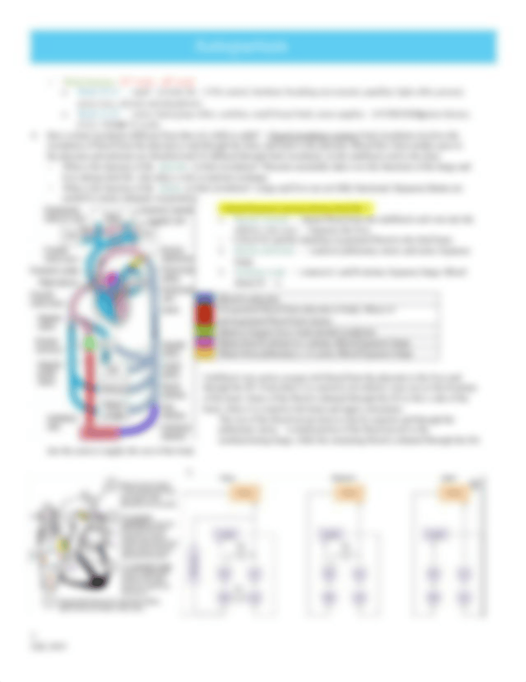 Antepartum Worksheet.docx_dzxxjzkzbwc_page2