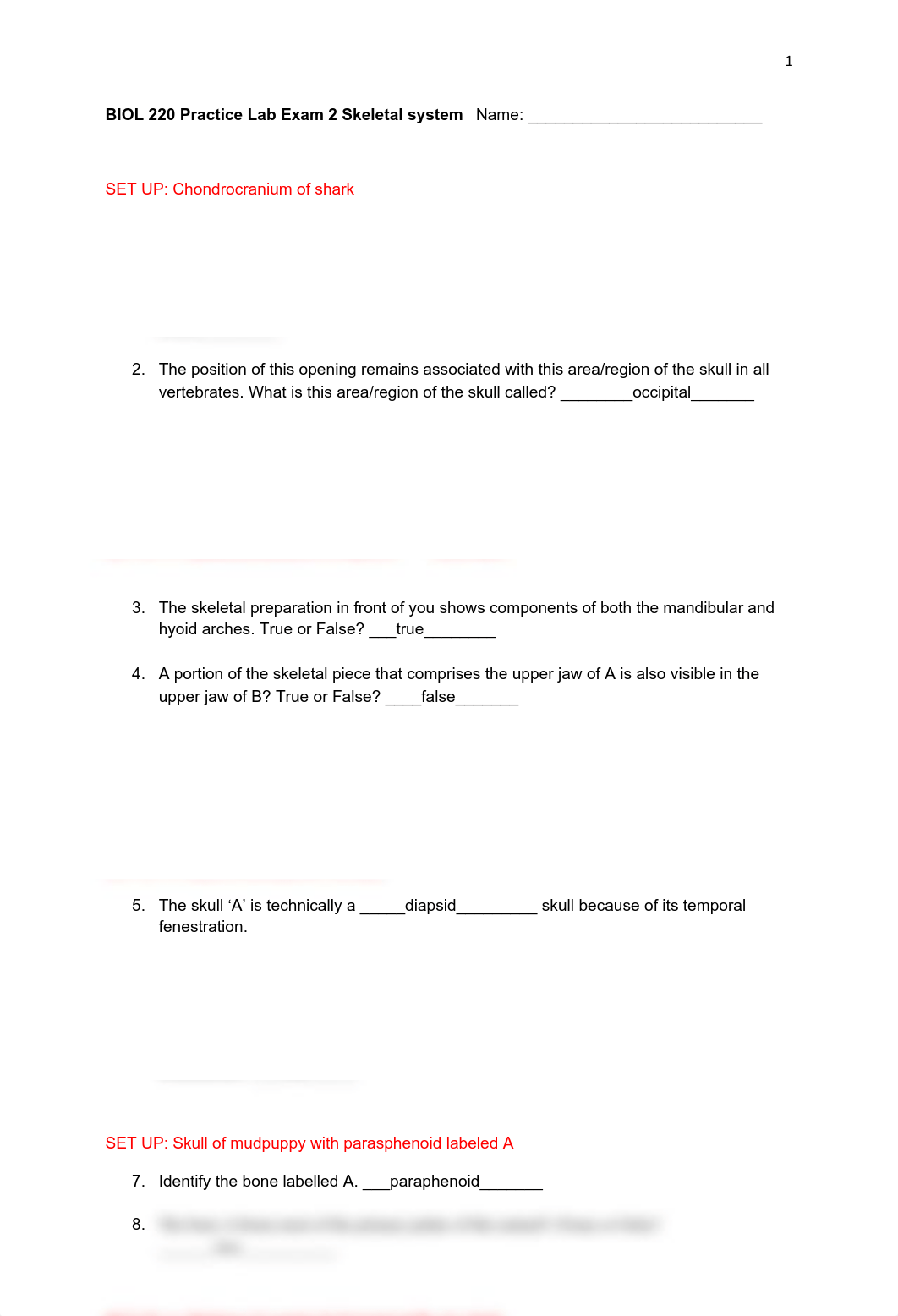 Practice Lab Exam 2 .docx.pdf_dzxxzvstydt_page1