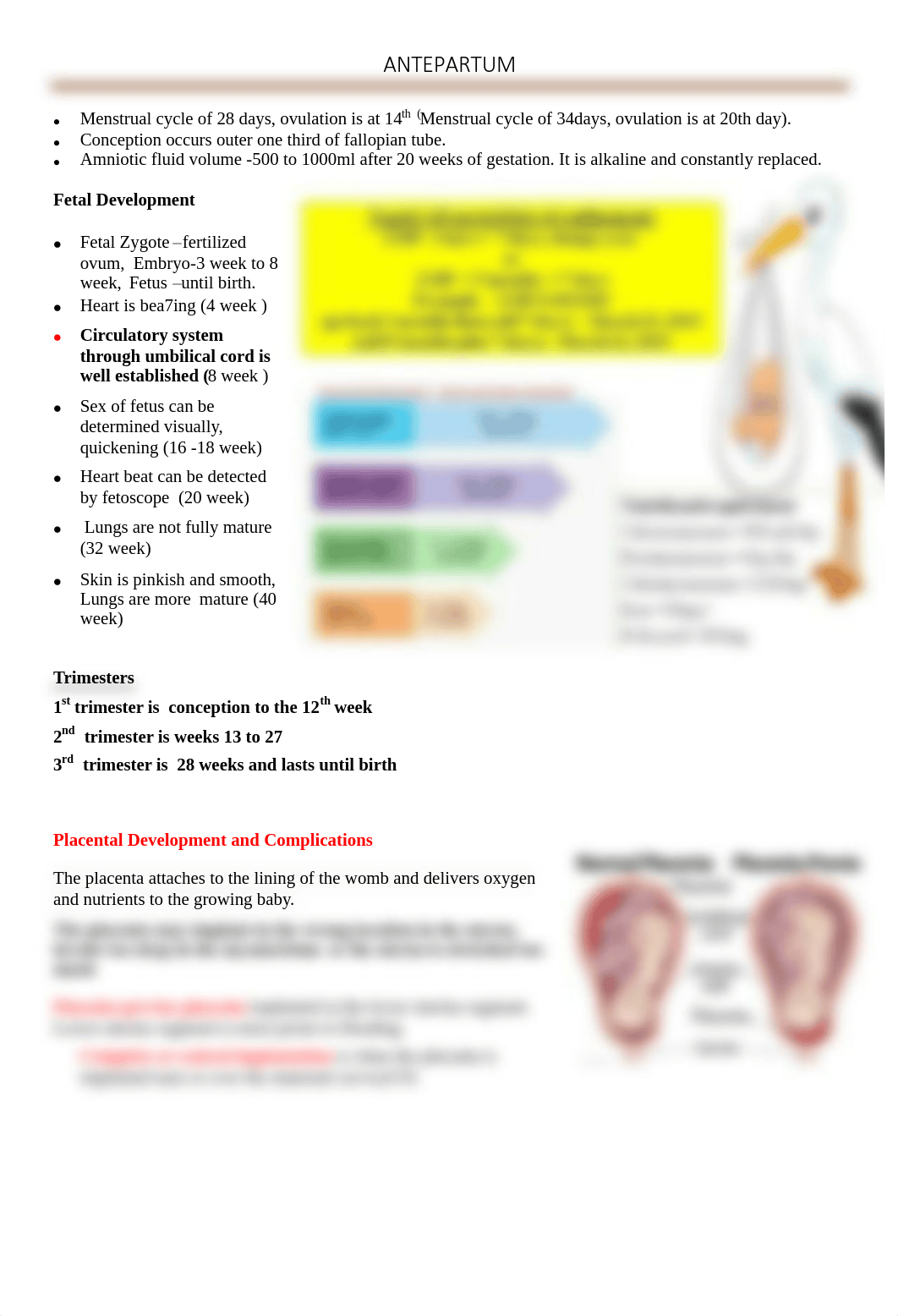 5 maternal notes ANTEPARTUM.pdf_dzy10nay7as_page1