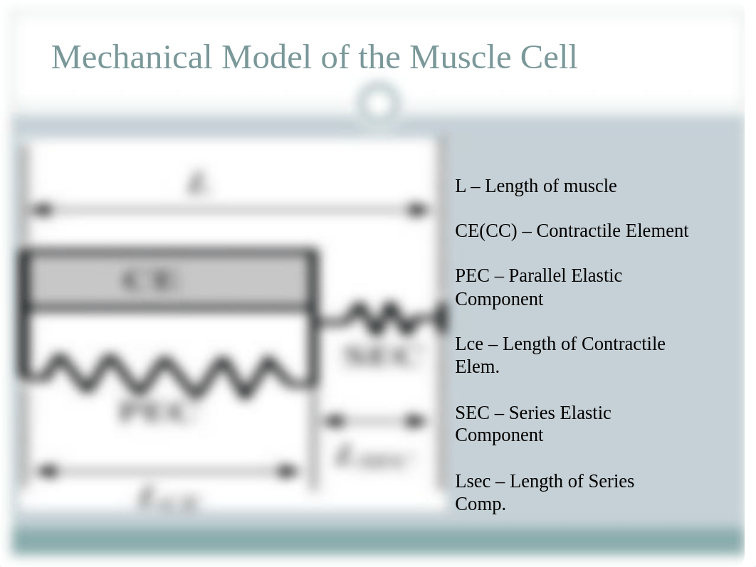 Ch. 18 Program Design and Technique for Plyometric Training (2)_dzy25hunlss_page4