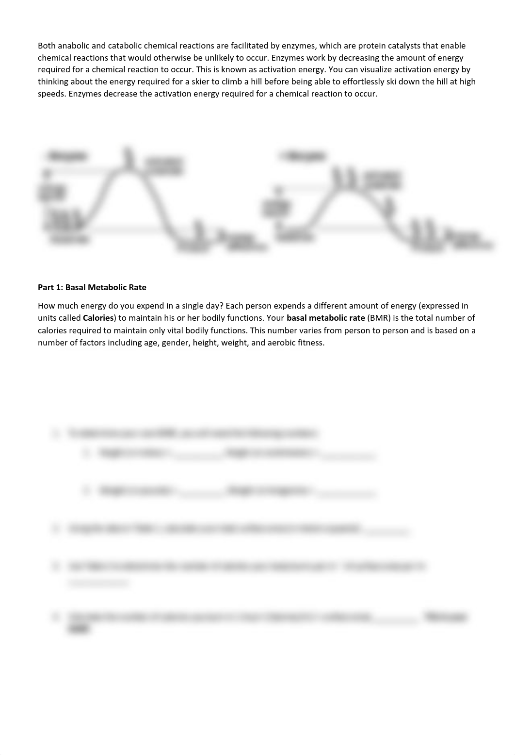 Energy and Metabolism Lab.pdf_dzy3q846dxq_page3