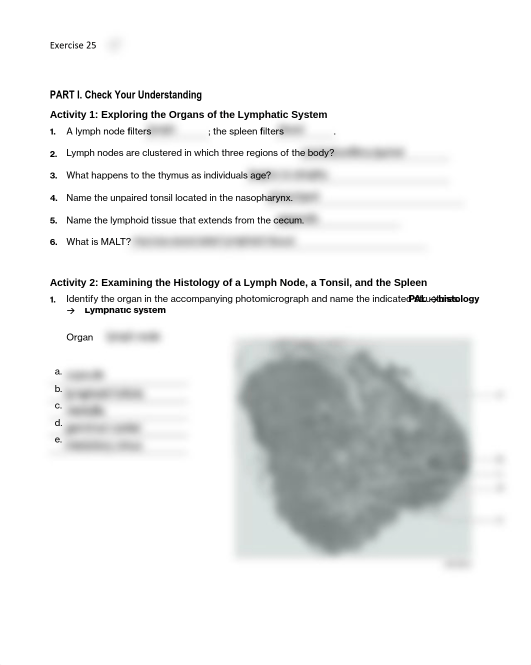 11. Unit 11 laboratory exercise 25 EDIT.pdf_dzy6w7ohght_page1