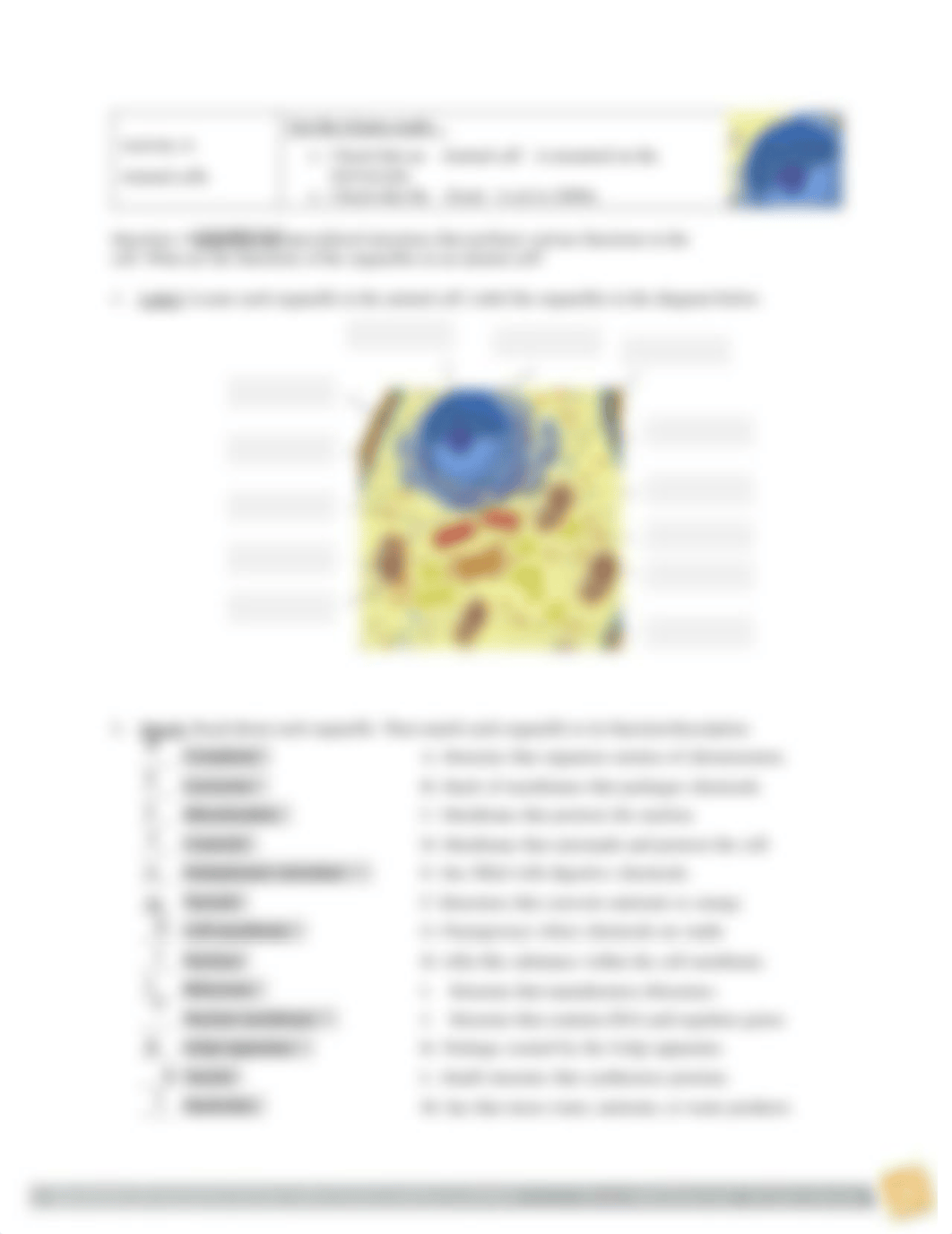 CellStructureSE.pdf_dzycirowx3l_page2