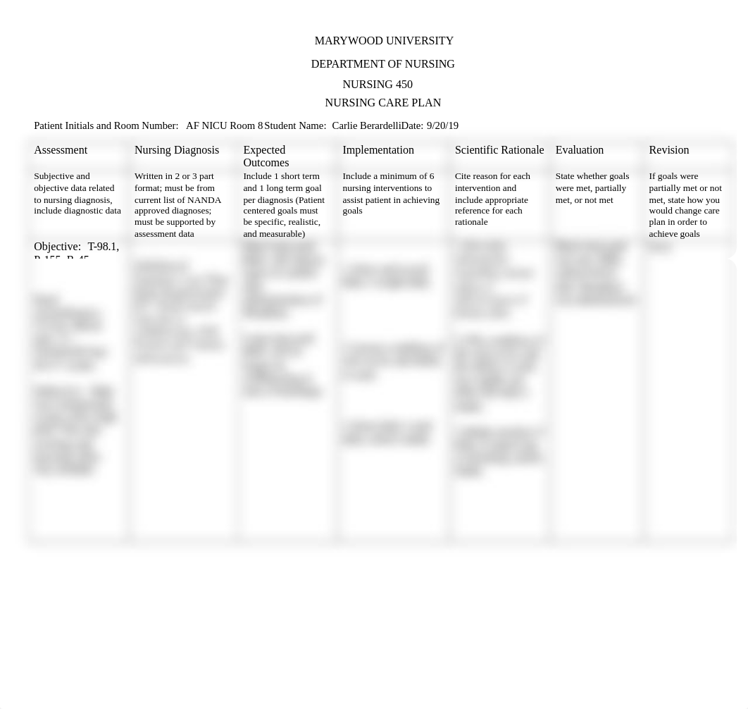 OB clinical care plan.docx_dzygcy4u56r_page1