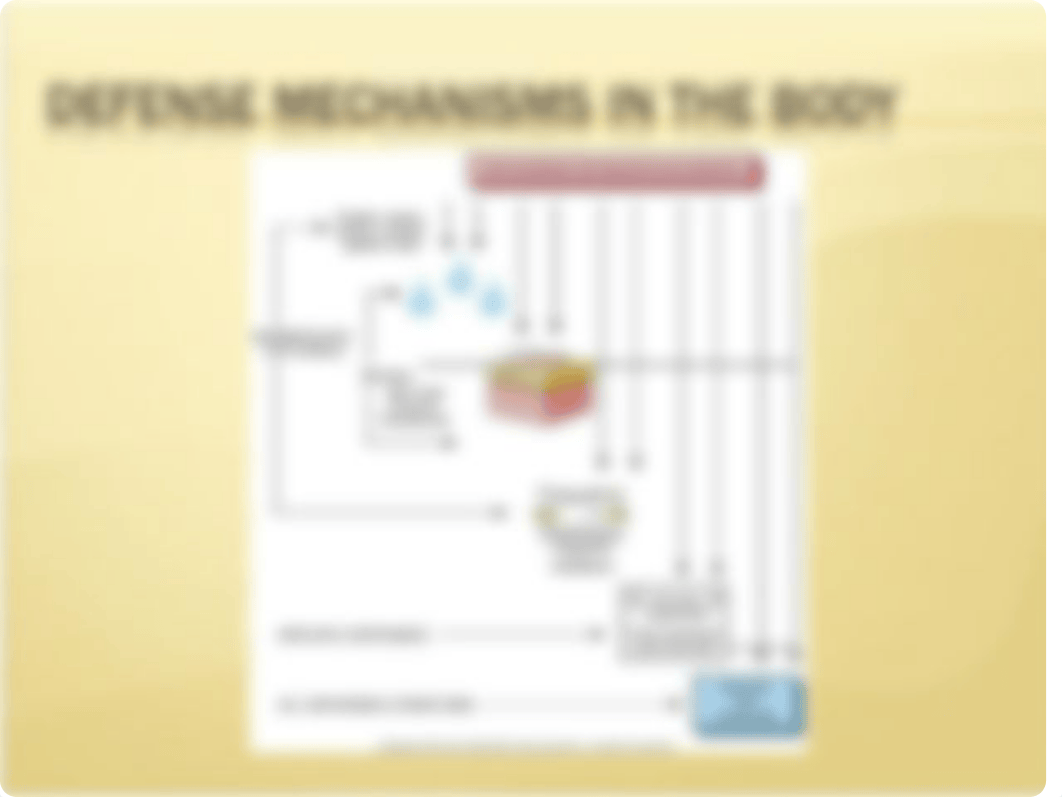 Chapter 5-7 Inflammation, Infection, Immunity.ppt_dzygosmgtqi_page4