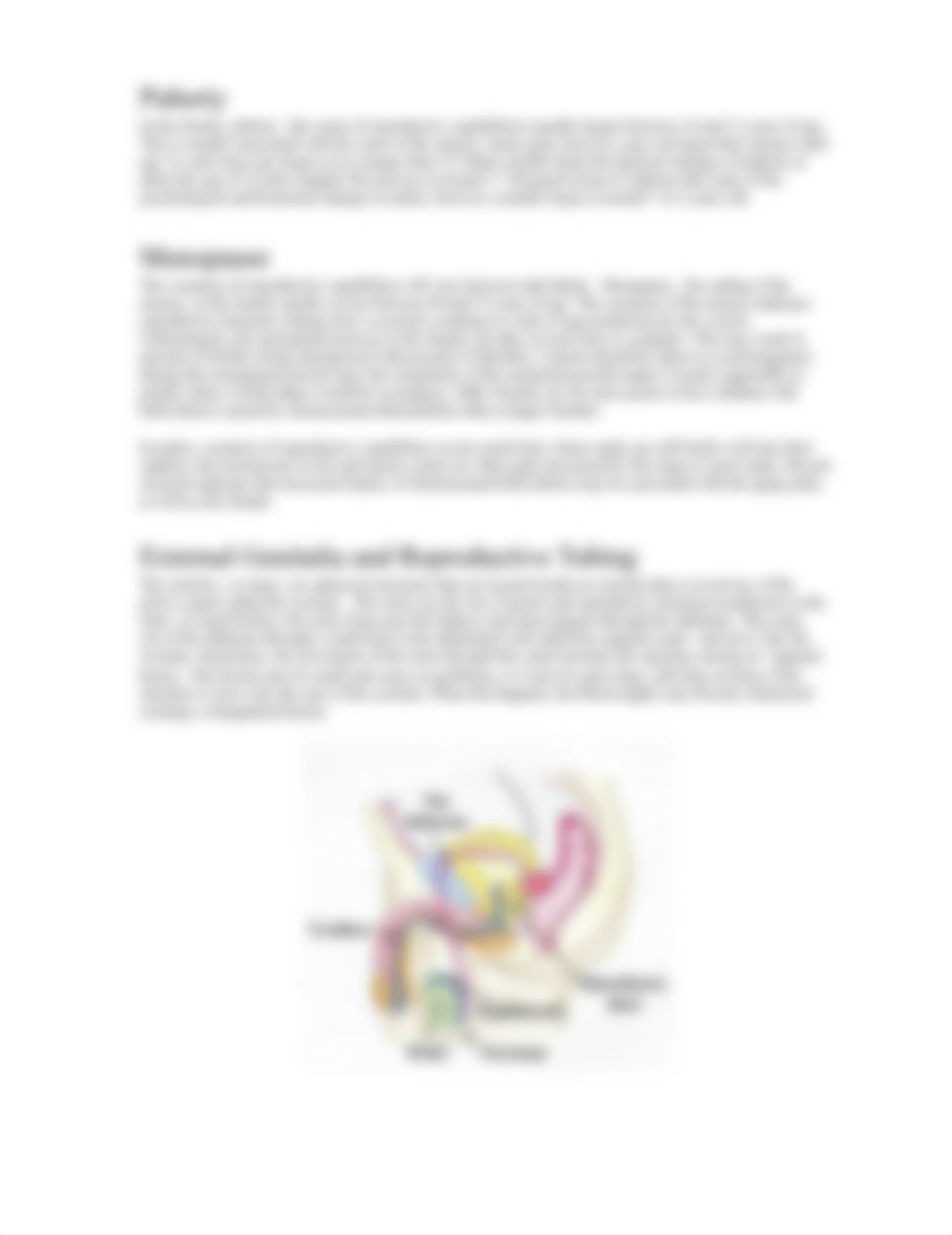 Lesson 14 Reproductive System.pdf_dzygtn46jpb_page2