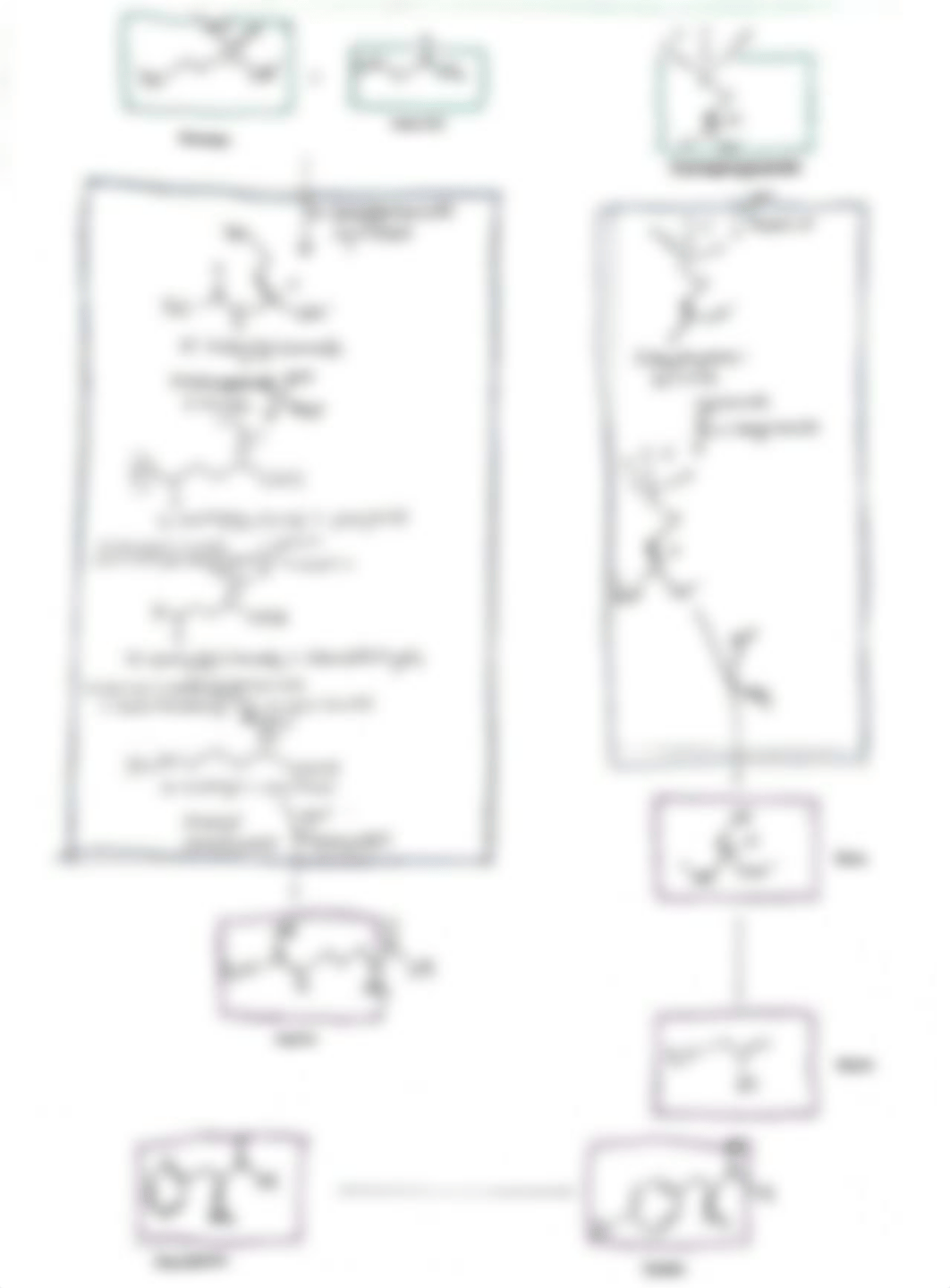 Lab 7 Maps.pdf_dzyiw8a2uut_page4