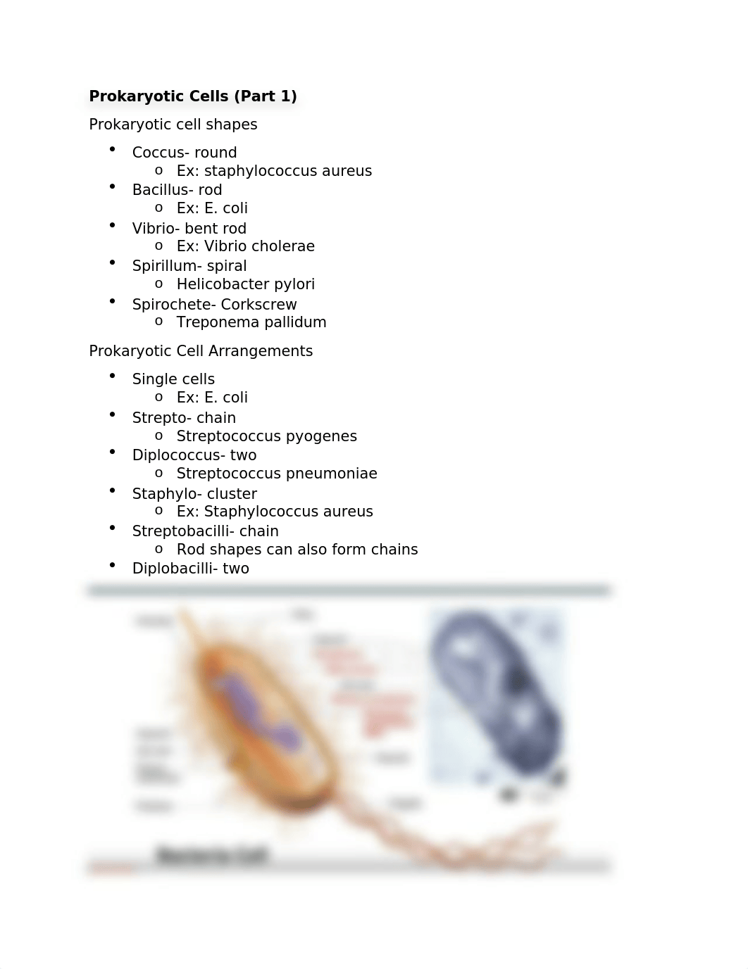 Prokayrotic Cells Pt1&2.docx_dzyjslzgh9o_page1