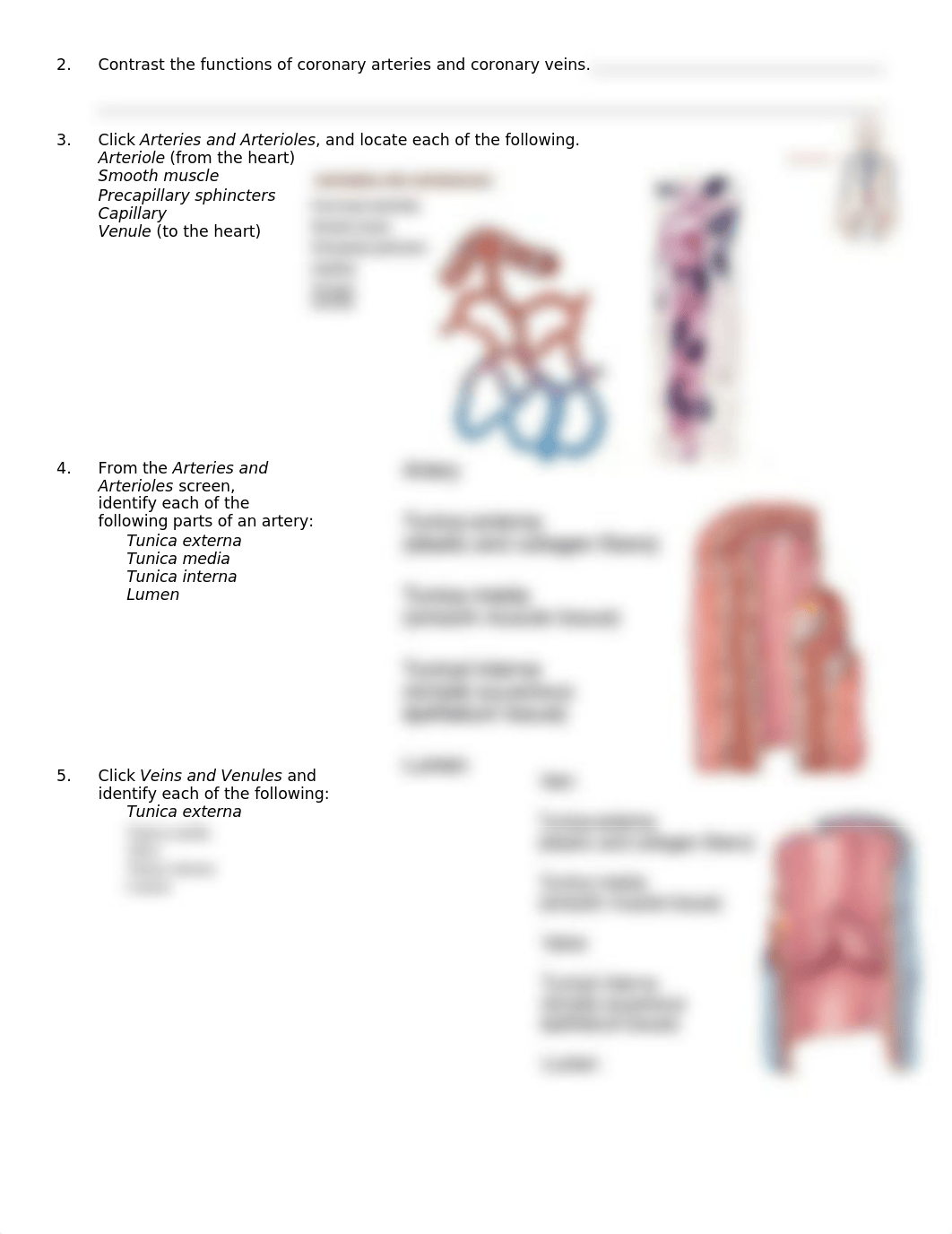 A&P 20.1_dzytw7ebz89_page2