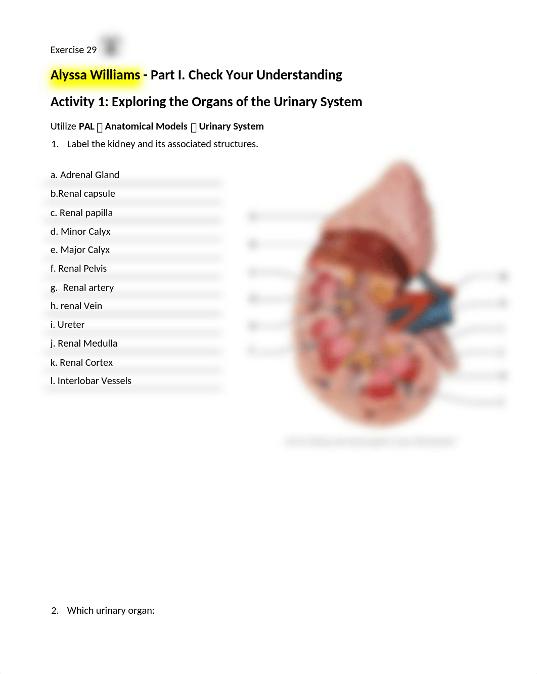 14. Unit 14 laboratory exercise 29.docx_dzz1ewannaw_page1