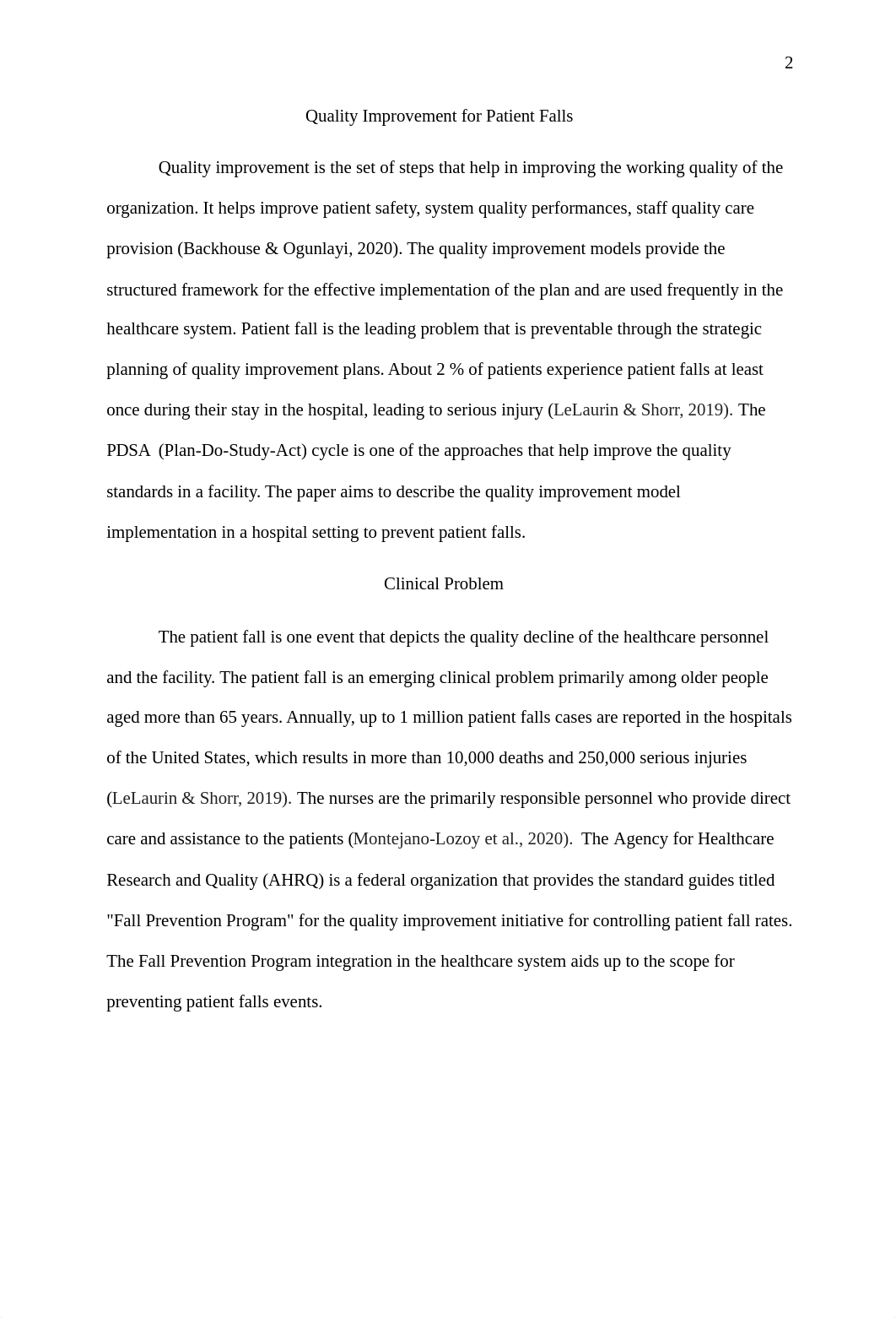 Quality Improvement Plan for Patient Falls.docx_dzz4d2ewjbg_page2