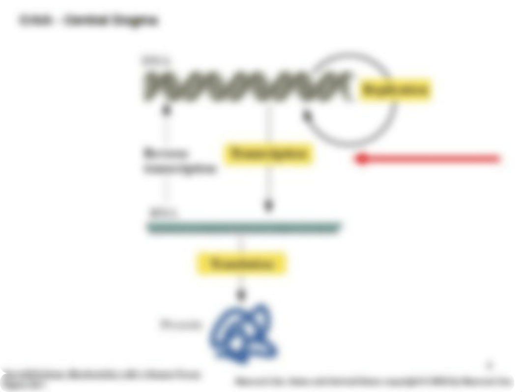 20160822 FJ 01 Gene expression and regulation_Class_dzzf531yrlg_page4