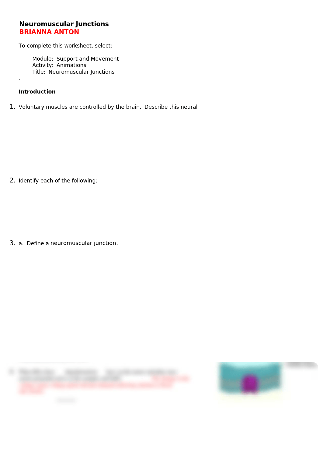 Neuromuscular Junction CH 10-FINISHED.docx_dzzjb4v6xb1_page1