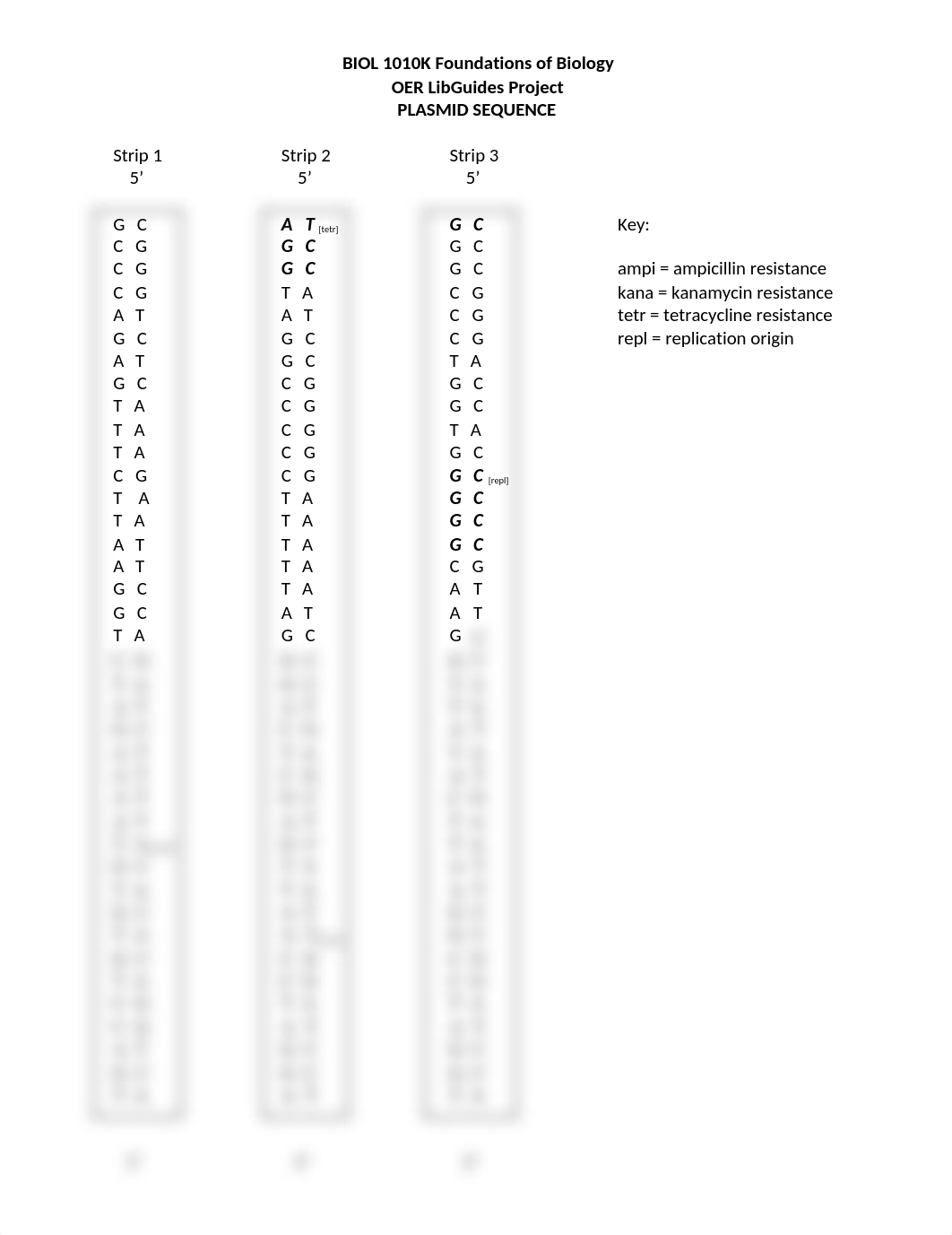 OER+Libguides+Project+PLASMID.docx_dzzjjy4pybp_page1