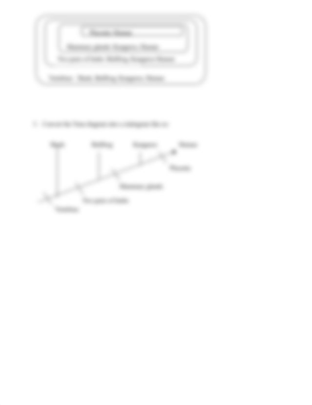 IU cladogram lesson.2020  Courtney Howard.pdf_dzztcbnmknt_page2