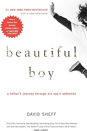 Beautiful Boy David Sheff